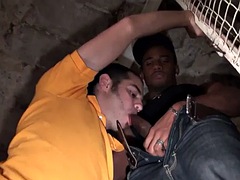 Anal, Pauzão, Negroa, Boquete, Ébano negroa, Gay bicha veado, Punheta, Interracial