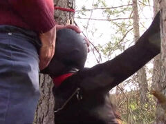 Tied To A Tree On A Sensual Outfit, Masked And Outdoor Deepthroating With No Mercy - Oral Sex