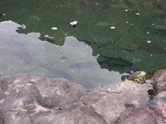 Leie, Strand, Nackt, Im freien, Pov, Öffentlich, Dürr, Titten