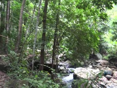 You take Elena to explore and you find a lovely waterfall.