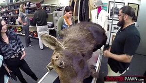 Moose head fail to sell so they fuck him after they pawn a moose head.