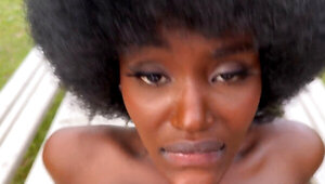 Gorgeous ebony with an afro hairstyle is fucked in POV