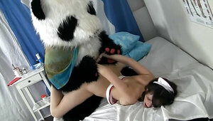 Cute fuzzy panda and a teen nurse have crazy sex