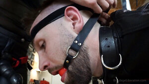 Gimp is being gagged and strap-on fucked by a mistress