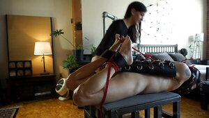Tied up gimp is humiliated by a depraved brunette mistress