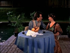 Tekintélyes didik, Pénisz, Szőrös, Régebbi évjáratú pornó