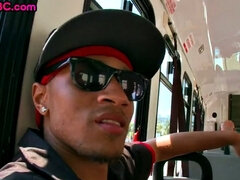 Amatőr, Anális szex, Cumizás, Meleg, Fajok közötti, Szabadban, Pornósztárok, Nyilvános