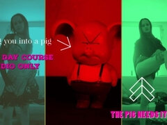 Amatoriale, Linguaggio sporco, Fetish, Istruzione