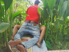 Πίπα, Μελαχροινή, Ζευγάρι, Ινδιάνος, Εκτός