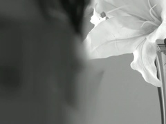 Aasialainen, Kuuluisuus, Aisankannattaja, Syväkurkku, Takaapäin, Eroottinen, Orgasmi, Pillu