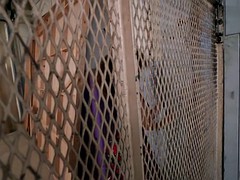 美人, デカチン, 黒人, フェラチオ, カワイイ, 黒人, 馬乗り, ティーン