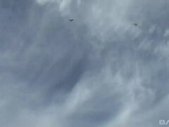 Amatőr, Tekintélyes didik, Gesztenyebarna, Szabadban, Egyedül