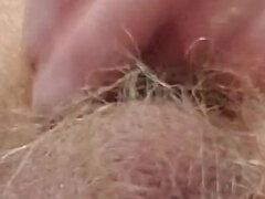 Amatööri, Spermashotti, Karvainen, Itsetyydytys, Pissata, Soolo
