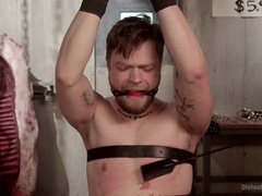 Bondage domination sadisme masochisme, Bondage, Femme dominatrice, Doigter, Humiliation, Prostate, Punition, Esclave