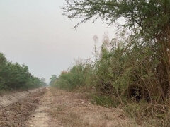 Amatéři, Stříkání spermatu, Masturbace, Venku, Sólo