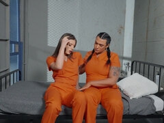 Horny shemales crazy xxx clip