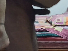 Amatööri, Pariskunta, Karvainen, Intialainen, Pillu