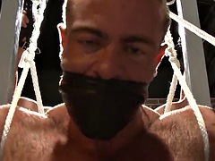 Σαδομαζοχιστικό, Μεγάλος πούτσος, Πίπα, Σαδομαζοχιστικό, Φετιχ, Ομοφυλόφιλος, Μύς