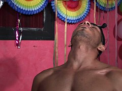 Mamada, Bukkake, Gay, Latina, Masturbación, Fiesta, Trio