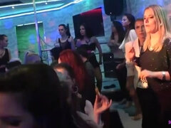 Amatéři, Černé, Kuřba, Šílené, Skupina, Přírodní prsa, Orgie, Párty