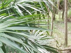 Risky Outdoor Walking Track Cum in One-piece Swimsuit