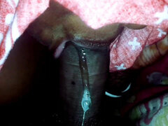 Amatør, Kukk suging, Inder