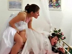 tyrannized strapon wedding