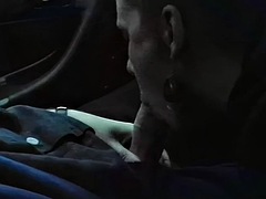 Amatéři, Kotě, Velké péro, Auto, Fetiš, Hardcore, Kuřba sání, Švédská rojka