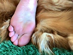 Sexy feet and toes Dominatrix Nika. Foot fetish, fur fetish. Beautiful legs and feet