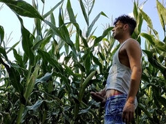 Summer Jerk off in Corn Field - Twitching Cumming Cock