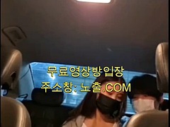 Simple solution in the car 2 korea domestic porn korean korean porn asian free porn