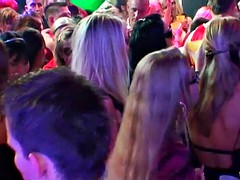 cutest babes and the erotic dancing in the secret nightclub