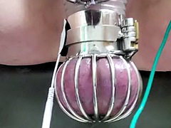 Locktober cum from cbt estim in chastity and ball cage
