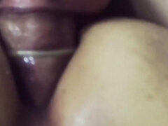 Americké, Anál, Velké péro, Kuřba, Gay, Skupina, Švédská rojka