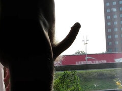 Amatéři, Německé, Honění, Sólo