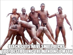 Arabes, Corno manso, Interracial