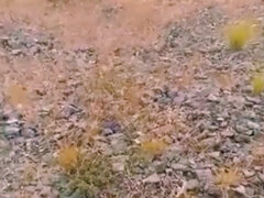 Mexican Soldier on Duty Masturbates Outdoors While His Bosses Are Away