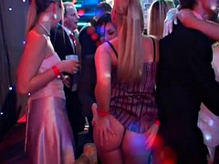 velvet and barbara summer join a kinky party with horny men