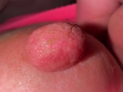 Amatööri, Anaali, Perse, Perännuolu, Pillu, Laiha, Tiukka, Neitsyt