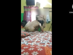 Debela dekleta, Par, Domaci pornič, Indijka, Zrela