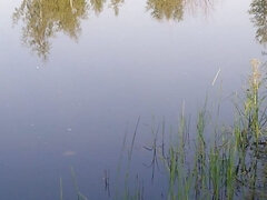 Transgirl Swimming in Clothes in Lake Wearing All Black: Pantyhose, Skirt and Top. Wetlook in Lake.