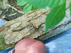 Amatéri, Fetiš, Vonku, Sólo