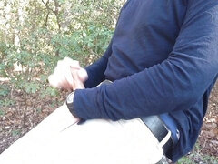 I Jerk-off on a Log on a Windy Day in the Woods, Outdoor Jerk-off.