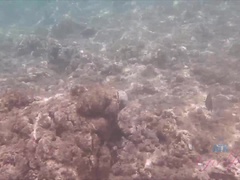 아마추어, 비키니, 핑거링, 여자친구, 야외의, 공개적인, 빼빼한, 청소년