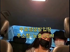 Korea hot babes kissing each other while touching each other in the car