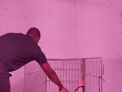 Ερασιτέχνης, Χοντρή γυναίκα, Ξανθιά, Ζευγάρι, Επιβολή, Διαφυλετικό, Ώριμη