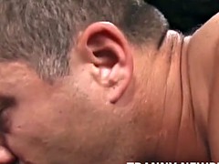 Tussi, Grosser schwanz, Schwarz, Blasen, Schwarz, Transfrau