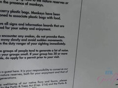 Amatéři, Brunetka, Na obličej, Přítelkyně, Honění, Orgasmus, Různé pohledy, Vlhká