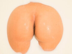 Anál, Velký zadek, Velké péro, Velké kozy, Kuřba, Brunetka, Na pejska, Hardcore