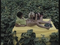 Analno, Babe, Velike joške, Blondinka, Fafanje, Rjavolaska, Zunanji izliv, Hardcore